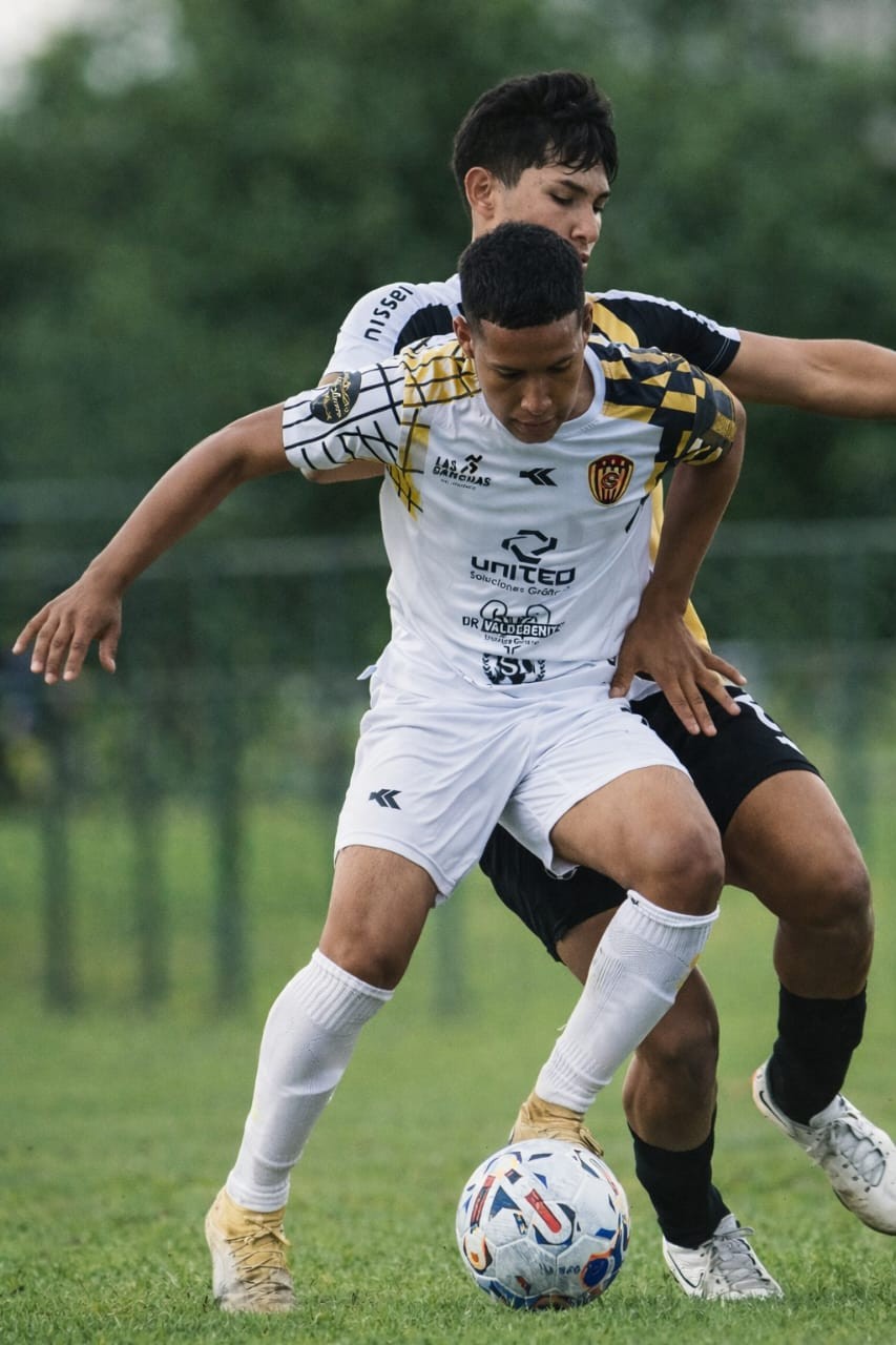 Artículo 1 - Cantera U13 U15: La defensa elástica como táctica de equipo